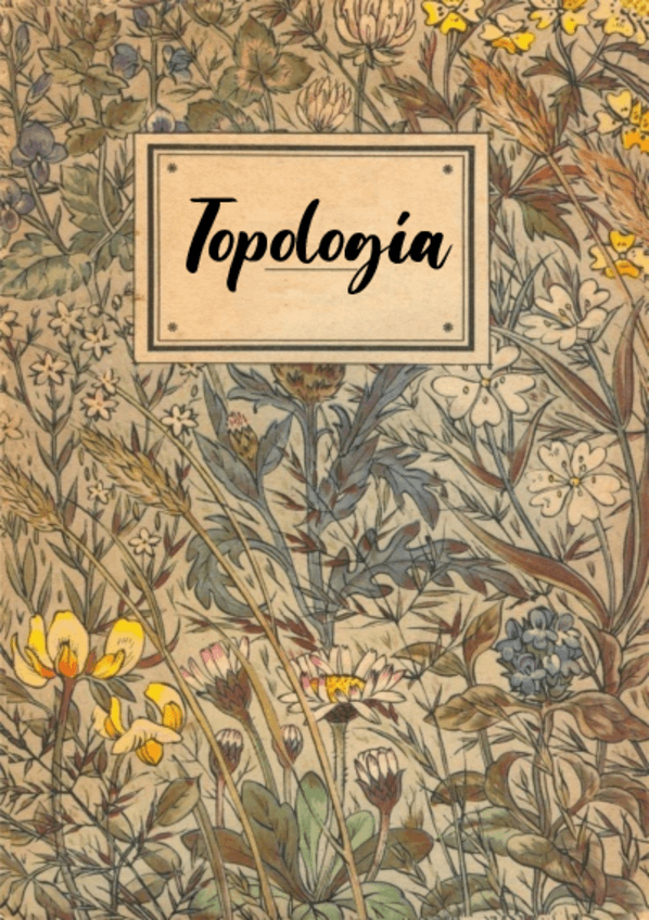 Miniatura del documento Apuntes-Topologia.pdf