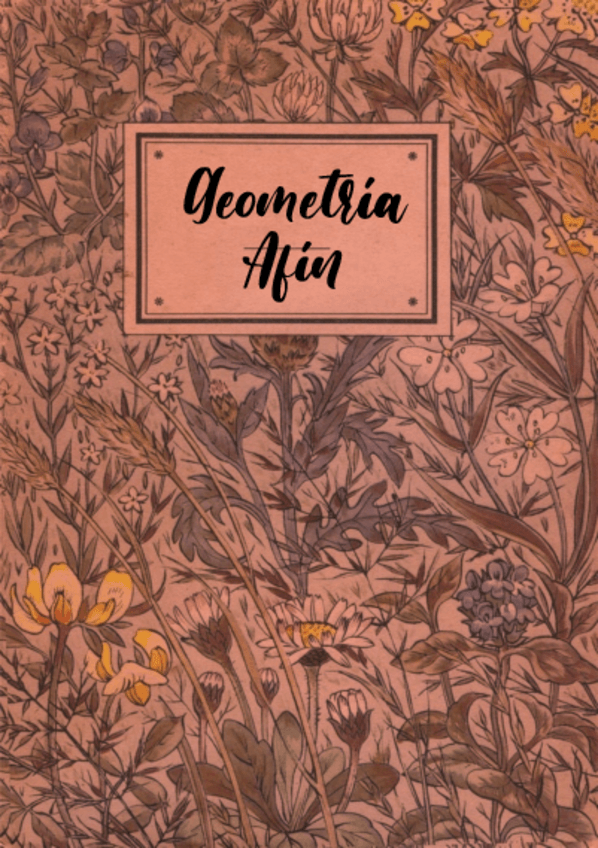 Miniatura del documento Apuntes-Geometria-Afin.pdf