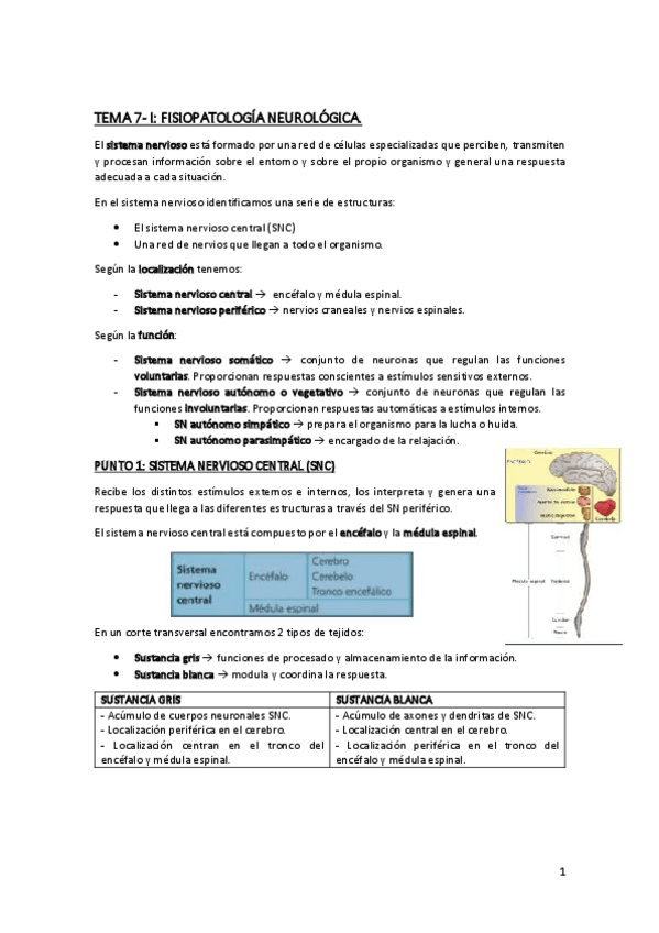 Miniatura del documento TEMA-7-Neurologia.pdf