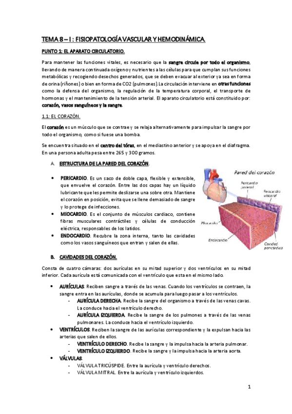Miniatura del documento TEMA-8-cardiovascular-y-hemodinamica-FG.pdf