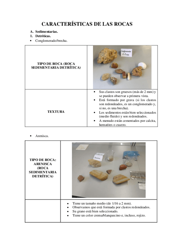 Miniatura del documento DE-10.-Caracteristicas-de-las-rocas-JULIANA.pdf