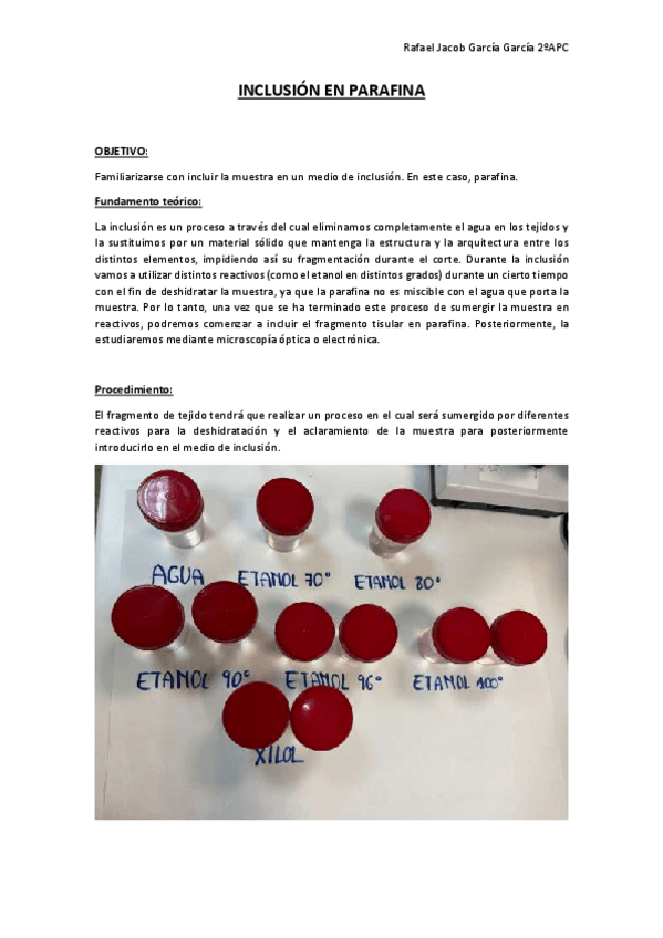 Miniatura del documento Practica-2-Inclusion.pdf