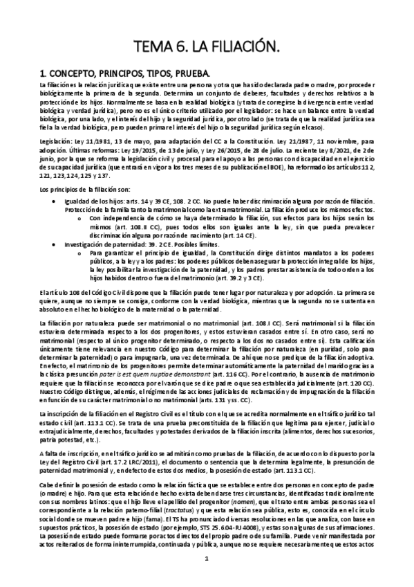Miniatura del documento TEMA-6.-LA-FILIACION.pdf