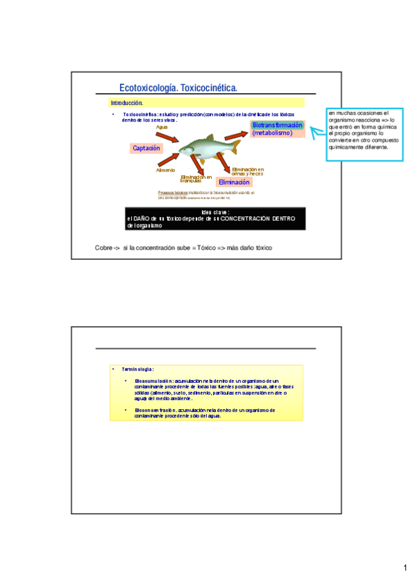 Miniatura del documento Ecotoxicologia.pdf