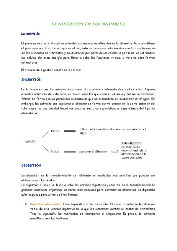 Miniatura del documento Tema-11-La-nutricion-en-los-animales-1.pdf