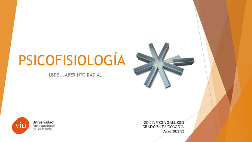 Miniatura del documento LBD2.pdf