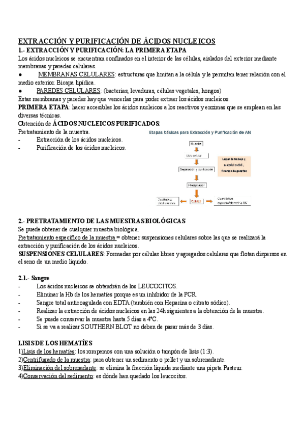 Miniatura del documento tema-6-bio.pdf