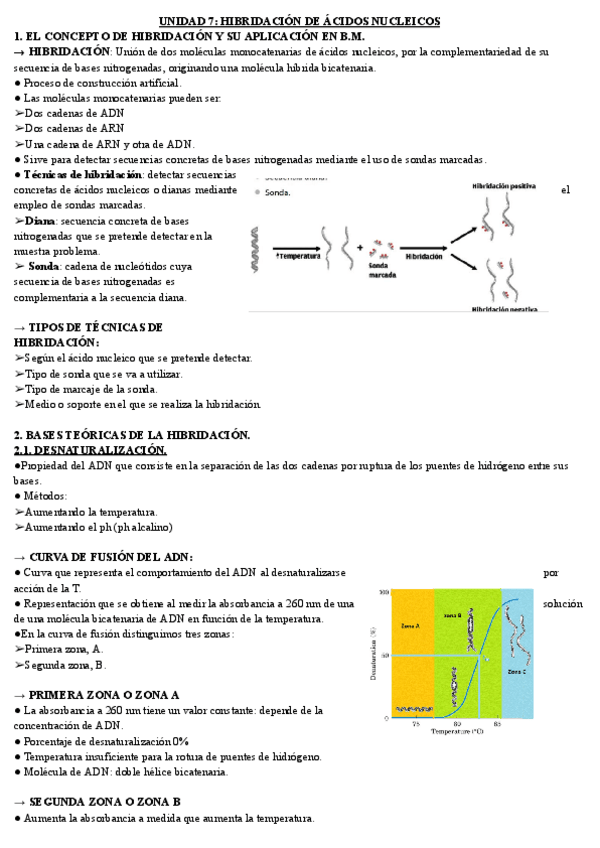 Miniatura del documento unidad-7-bio.pdf