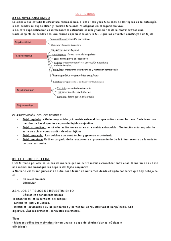Miniatura del documento unidad-3-fisio.pdf