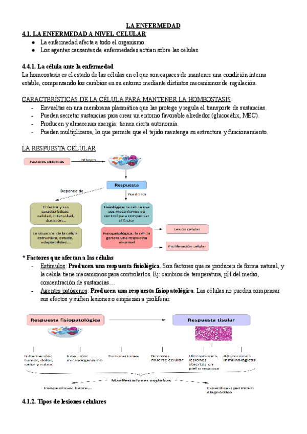 Miniatura del documento unidad-4-fisio.pdf