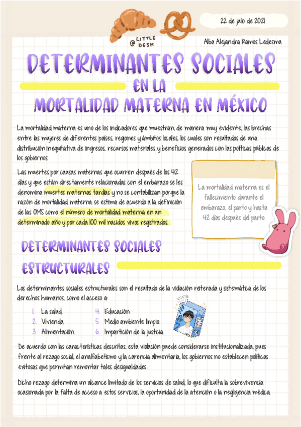 Miniatura del documento Determinantes-de-la-mortalidad-materna.pdf