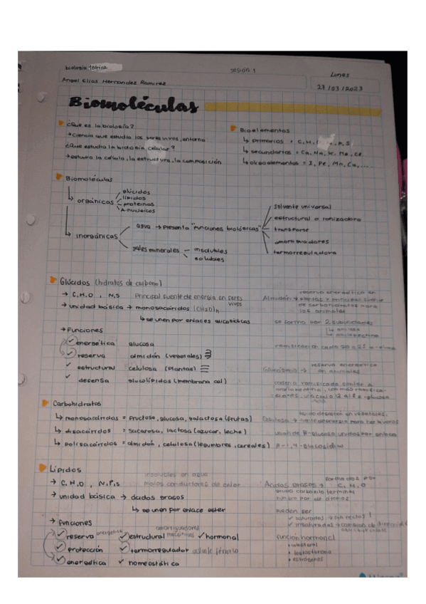 Miniatura del documento Biomoleculas-BIO-TEO-Semana-1.pdf