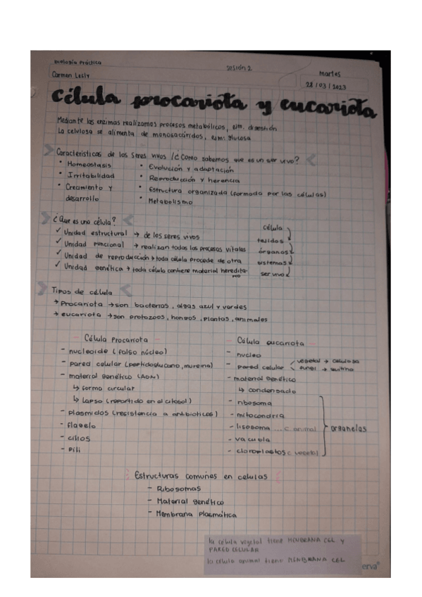 Miniatura del documento Celula-Procariota-y-Eucariota-BIO-PRAC-Semana-1.pdf