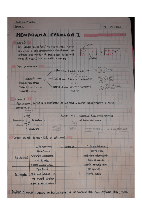 Miniatura del documento Membrana-Celilar-I.2-BIO-PRAC-Semana-2.pdf