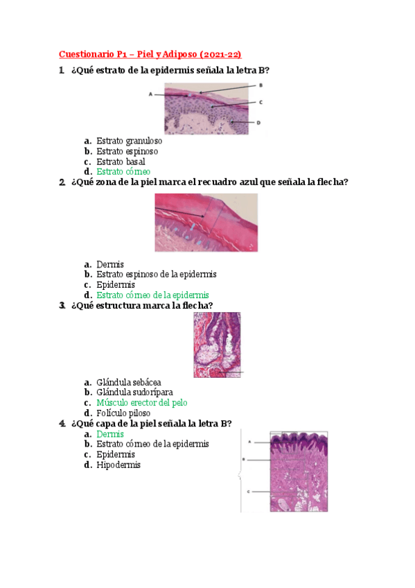 Miniatura del documento Test P.1 - Piel y Adiposo.pdf