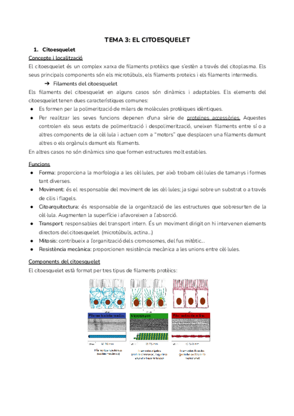 Miniatura del documento TEMA-3-EL-CITOESQUELET.pdf