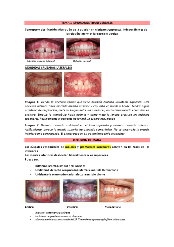 Miniatura del documento ORTO-2-Temario-completo.pdf