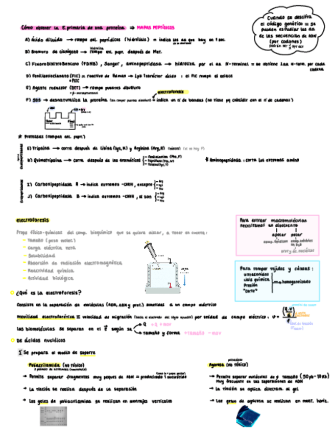 Miniatura del documento tecnicas-i-examen-practicas.pdf