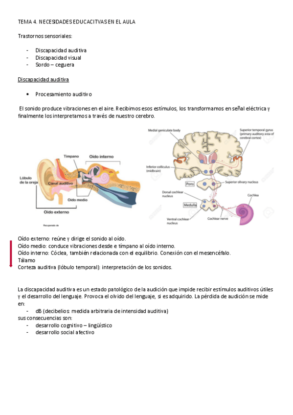 Miniatura del documento TEMA-4.pdf