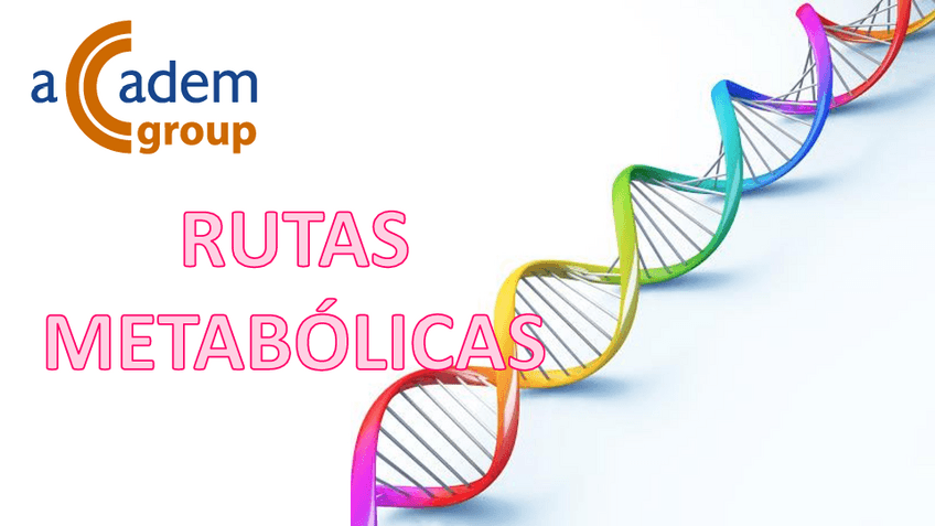 Miniatura del documento Rutas-Metabolicas.pdf
