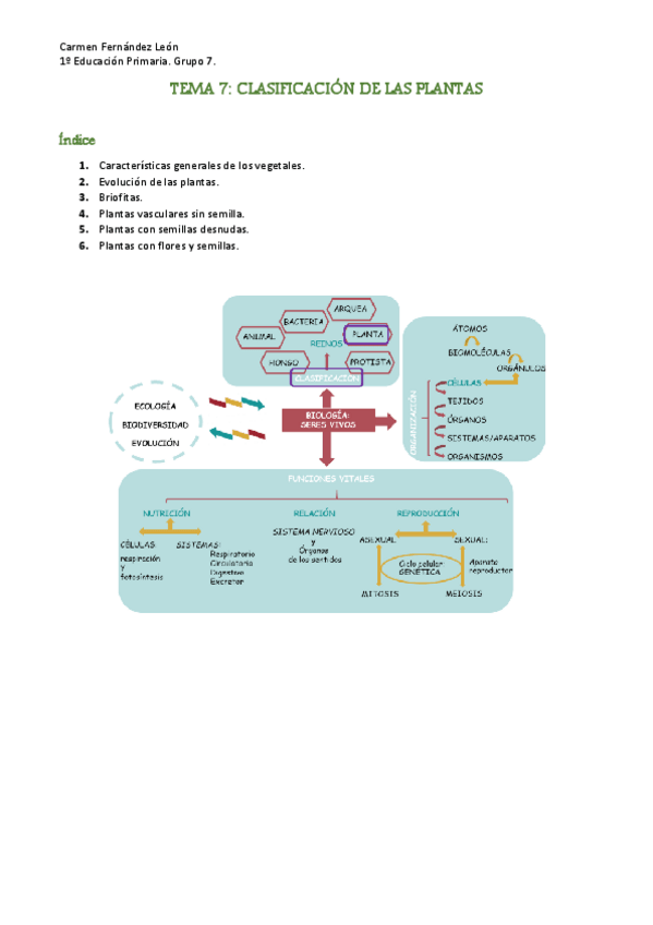 Miniatura del documento TEMA-7.-CLASIFICACION-DE-LAS-PLANTAS..pdf