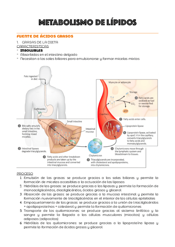 Miniatura del documento TEMA-6a.pdf