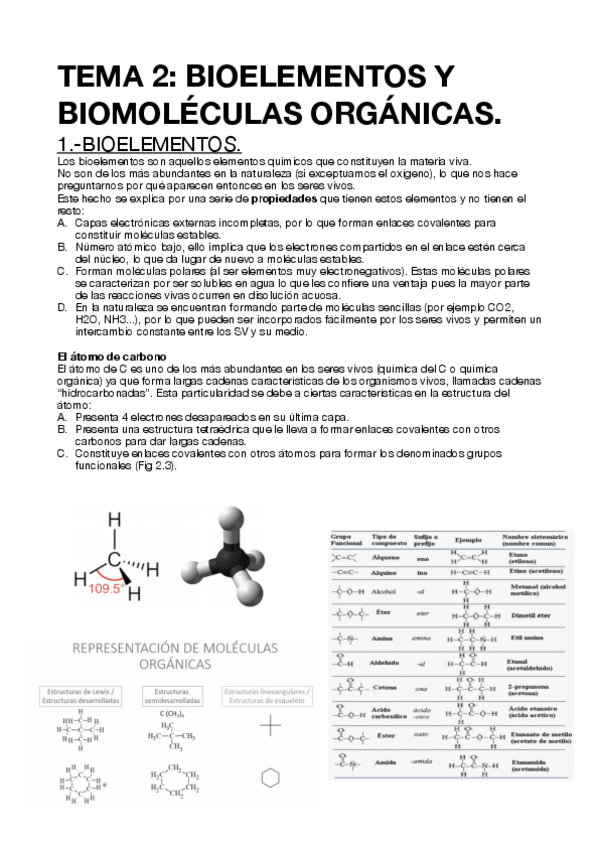 Miniatura del documento TEMA-2.-BIOELEMENTOS-Y-BIOMOLECULAS-ORGANICAS..pdf