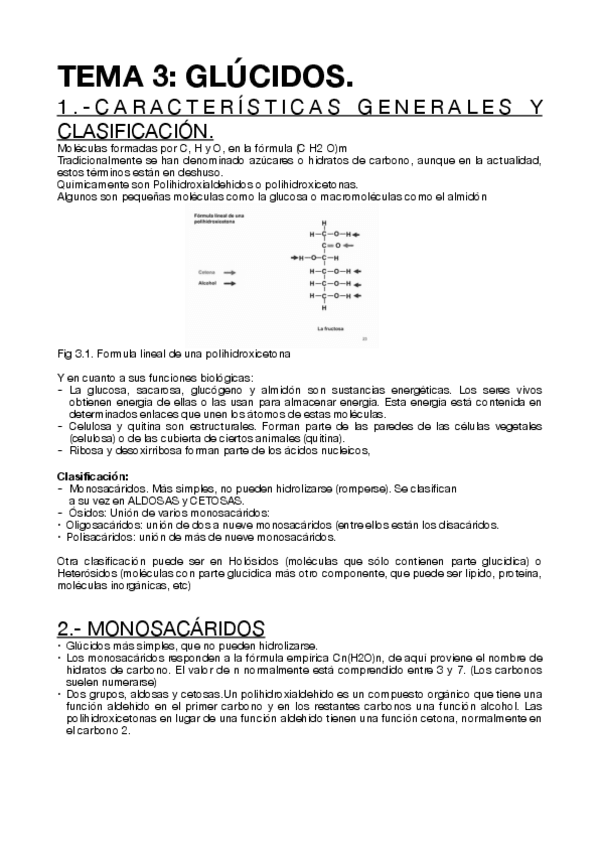 Miniatura del documento Tema-3.-GLUCIDOS.pdf