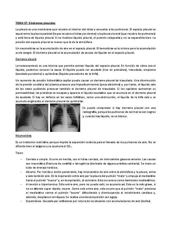 Miniatura del documento TEMA-17.pdf