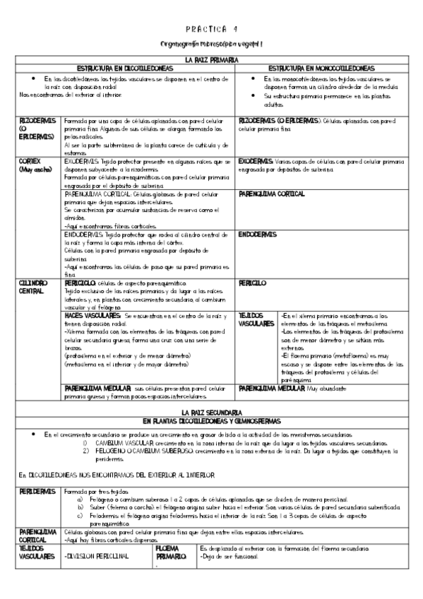 Miniatura del documento Apuntes-Practicas organos vegetales.pdf