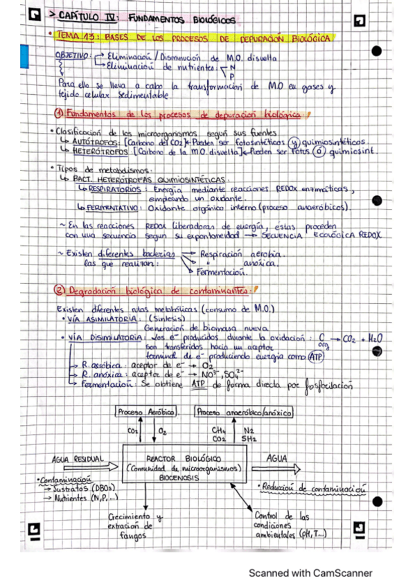 Miniatura del documento BLOQUE-4-Procesos-biologicos.pdf