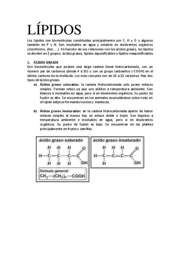 Miniatura del documento TEMA-4-LIPIDOS.pdf
