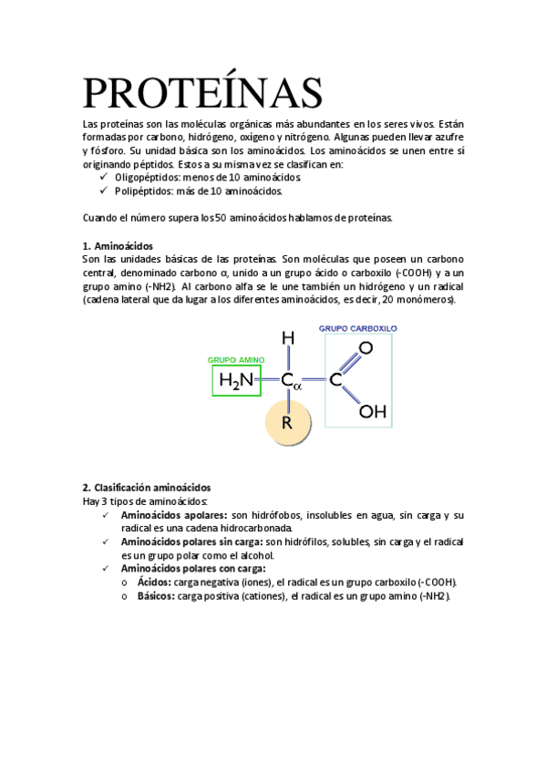 Miniatura del documento TEMA-5-PROTEINAS.pdf