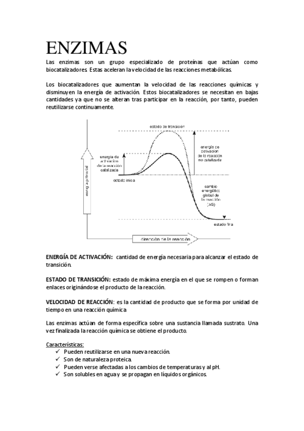 Miniatura del documento TEMA-6-ENZIMAS.pdf