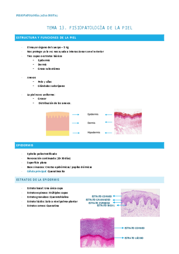 Miniatura del documento TEMA-13-FISIOPATO.pdf