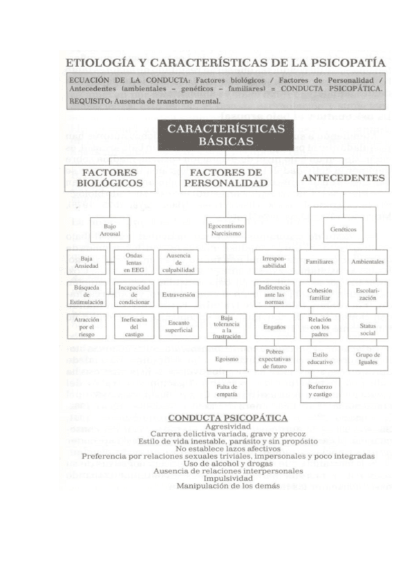 Miniatura del documento DOCUMENTO-3.pdf