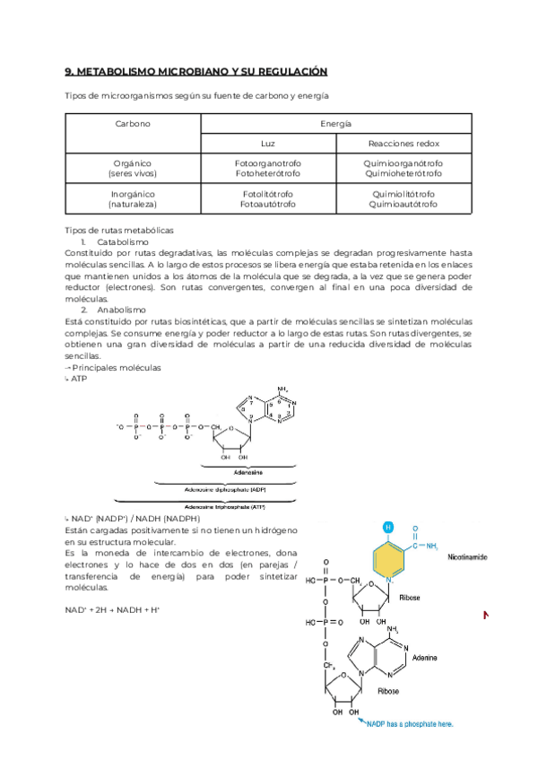 Miniatura del documento 9.-MICRO.pdf