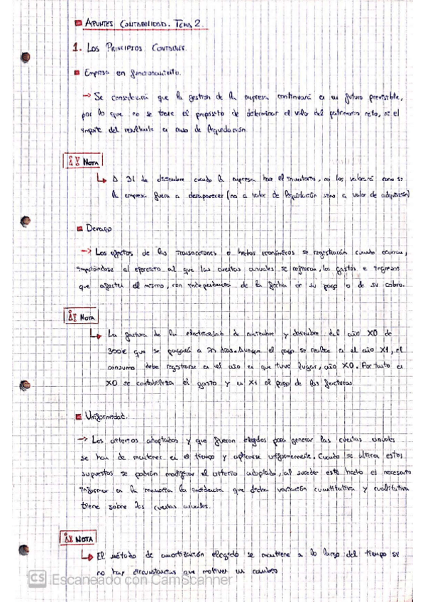 Miniatura del documento TEORIA.pdf