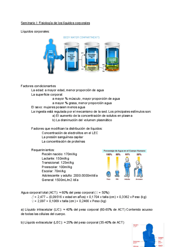 Miniatura del documento Fisio.-Seminarios.pdf