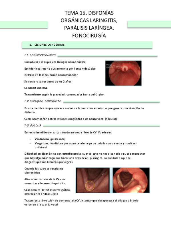 Miniatura del documento TEMA-15-PAT-VHA.pdf