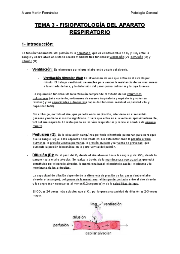 Miniatura del documento TEMA-3-FISIOPATOLOGIA-DEL-APARATO-RESPIRATORIO.pdf