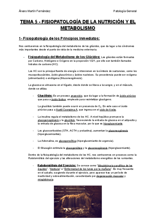 Miniatura del documento TEMA-5-FISIOPATOLOGIA-DE-LA-NUTRICION-Y-EL-METABOLISMO.pdf