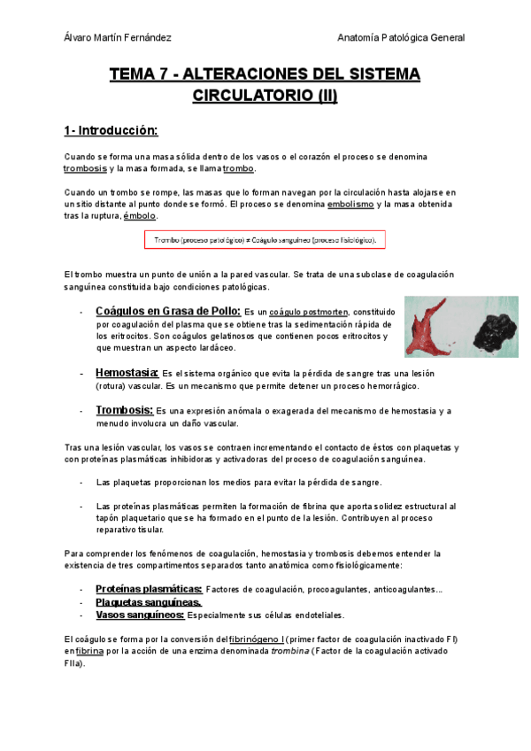 Miniatura del documento TEMA-7-ALTERACIONES-DEL-SISTEMA-CIRCULATORIO-II.pdf