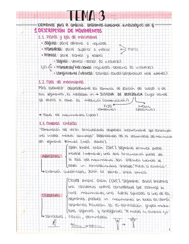 Miniatura del documento TEMA-3-SyKMH-Elementos-analisis-anatomico-funcional.pdf