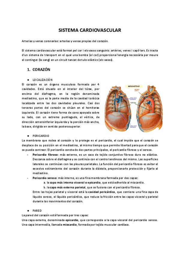 Miniatura del documento SISTEMA-CARDIOVASCULAR-1.pdf