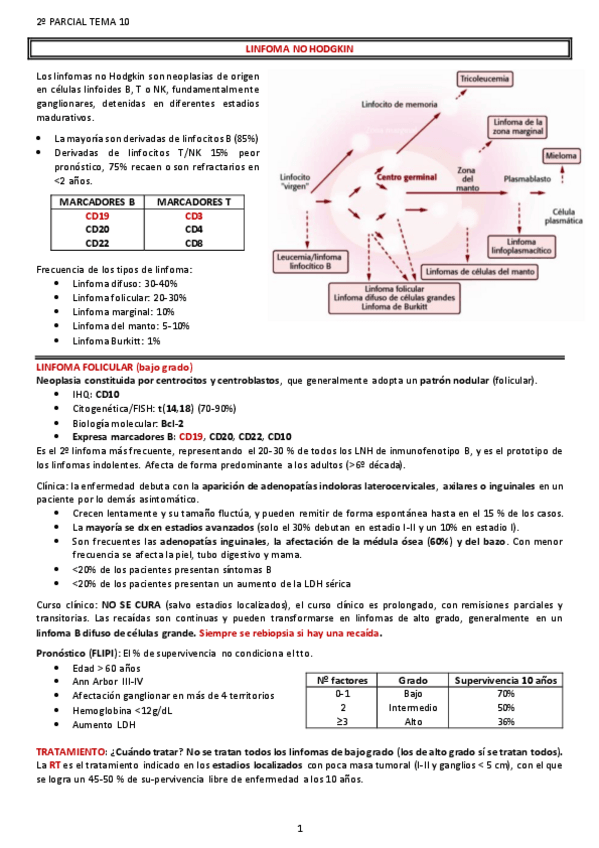 Miniatura del documento LINFOMA-NO-HODGKIN.pdf