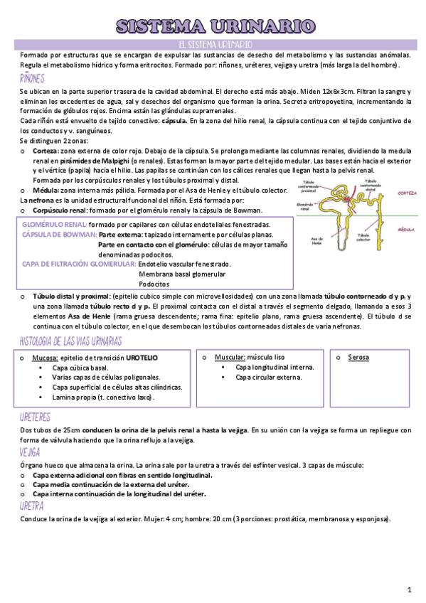 Miniatura del documento t.9.pdf