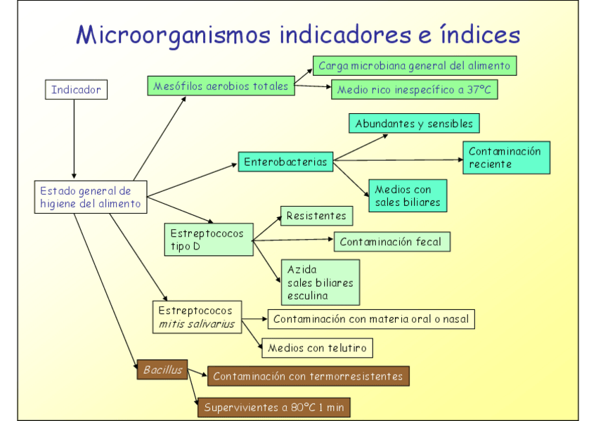 Miniatura del documento 24-26.pdf