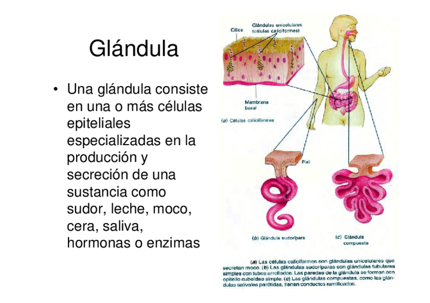 Miniatura del documento 09-12.pdf