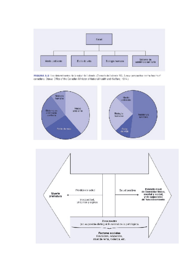 Miniatura del documento 07-08.pdf